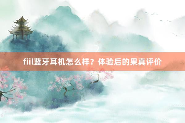 fiil蓝牙耳机怎么样？体验后的果真评价