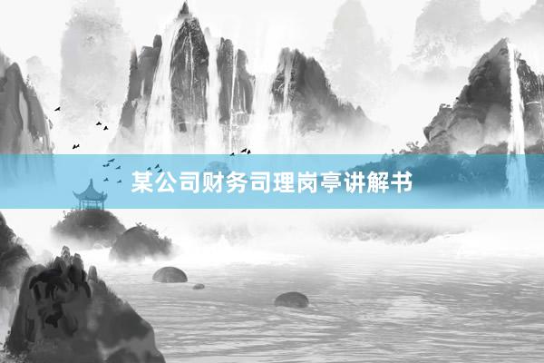 某公司财务司理岗亭讲解书